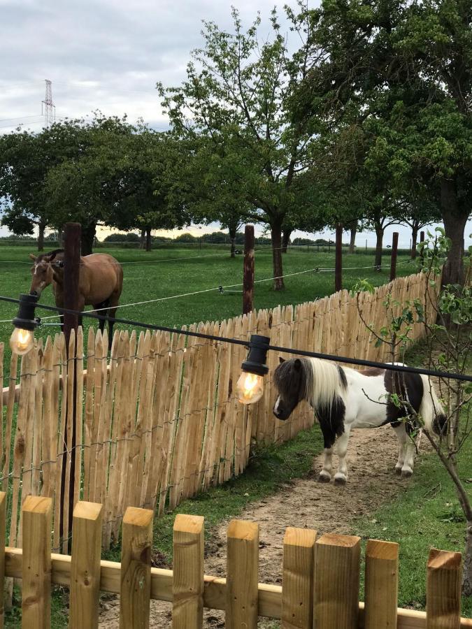 Tussen De Paarden @ De Hoeveschuur Riemst Exterior photo